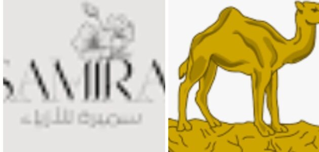 موعد مباراه بين ايريندا والمجر 6/9/2025
